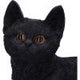 Charmed Companion Black Cat Figurine 20cm