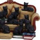 Couch Clowder with 48 Display Cats 22cm