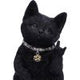 Metallicat Black Cat Throwing Rock Hand Sign