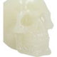 Phosphorescent Glow in the Dark Skull
