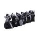 Cat Crusaders (Set of 6) – Fierce Warrior Cat figurines with Unique Poses