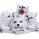 Winter Warmth Cuddling Wolf Puo Figurine