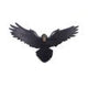 Flight of the Raven Wall Hanging Decoration