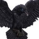 Flight of the Raven Wall Hanging Decoration