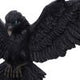 Flight of the Raven Wall Hanging Decoration