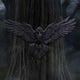 Flight of the Raven Wall Hanging Decoration