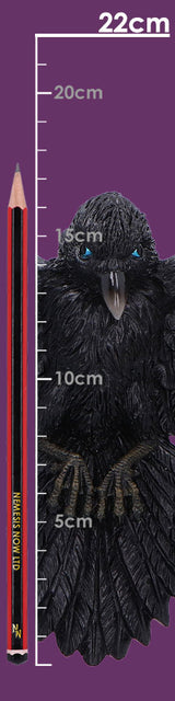 Flight of the Raven Wall Hanging Decoration
