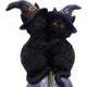 Kittens Orbuculum Witches Cat Ornament
