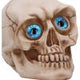 Eyes Wide Open (Blue) Decorative Resin Skull