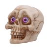 Eyes Wide Open (Pink) Decorative Resin Skull – billede 5