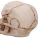 Eyes Wide Open (Pink) Decorative Resin Skull