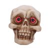 Eyes Wide Open (Red) Decorative Resin Skull – billede 4
