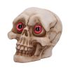 Eyes Wide Open (Red) Decorative Resin Skull – billede 5