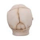 Eyes Wide Open (Red) Decorative Resin Skull