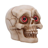 Eyes Wide Open (Red) Decorative Resin Skull