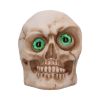 Eyes Wide Open (Green) Decorative Resin Skull – billede 4