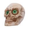 Eyes Wide Open (Green) Decorative Resin Skull – billede 8