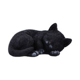 Feline Dream Decorative Resin Cat Figurine