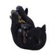 Magical Mischief Decorative Resin Cat Figurine