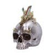 Chromatic Crystal Skull 21cm