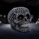 Crania Decorative Resin Skull