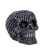 Electro (Medium) (Pack of 6)