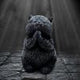Whisker Wish Black Cat Figurine