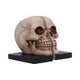 Final Chapter Skull Bookends 13.5cm