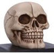 Final Chapter Skull Bookends 13.5cm