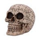 Puzzled Skull 11.7cm