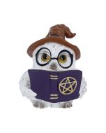 Coven Keepers (Display Stand with 36pcs)