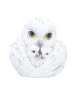 Coralscale Hatchling Dragon Figurines Set of 3 9cm