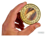 Lord of the Rings Coin with Display Stand The Fellowship
