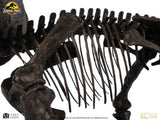 Jurassic World ECC Elite Creature Line Statue 1/12 Triceratops Fossil Skeleton Bronze 33 cm