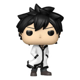 Fairy Tail 100 Year Quest POP! Animation Vinyl Figures Gray w/Chase 9 cm Assortment (6)
