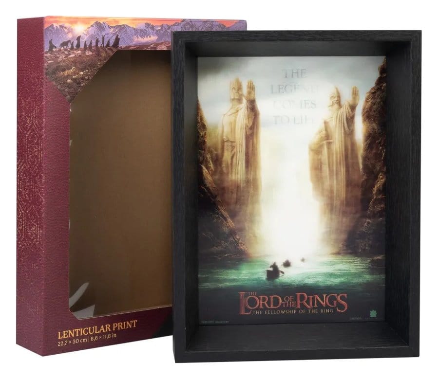 The Lord of the Rings Framed Print