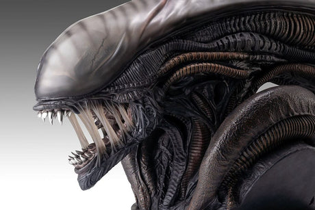 Alien Romulus Bust 1/1 Xenomorph 53 cm