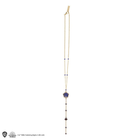 Harry Potter Necklace with Pendant Chocolate Frog