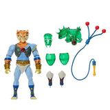 Masters of the Universe x ThunderCats Action Figure Tygra 14 cm
