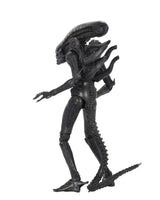 Alien 1979 Action Figure Ultimate 40th Anniversary Big Chap 23 cm