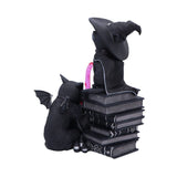 Cult Cuties Figure Curious Cauldron 18 cm