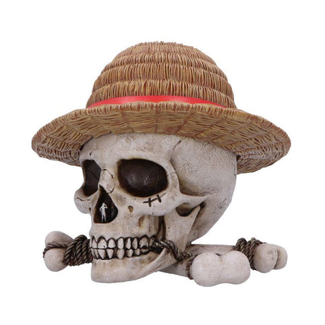 One Piece Storage Box Luffy Jolly Roger