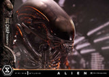 Alien Museum Masterline XL Statue 1/3 Big Chap Xenomorph Regular Ver. Bonus Version 100 cm