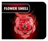 Revell Flowers Wooden Flowers Dream of Roses 22 cm