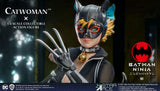 Batman Ninja My Favourite Movie Action Figure 1/6 Ninja Catwoman Normal Ver. 30 cm