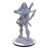 Pathfinder Deep Cuts Unpainted Miniature Wood Giant