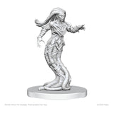 Pathfinder Deep Cuts Unpainted Miniatures Gylou (Handmaiden Devil) & Ferrugon (Rust Devil)