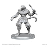 Pathfinder Deep Cuts Unpainted Miniatures Elf Hunter & Catfolk Bandit