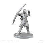 Pathfinder Deep Cuts Unpainted Miniatures Elf Hunter & Catfolk Bandit